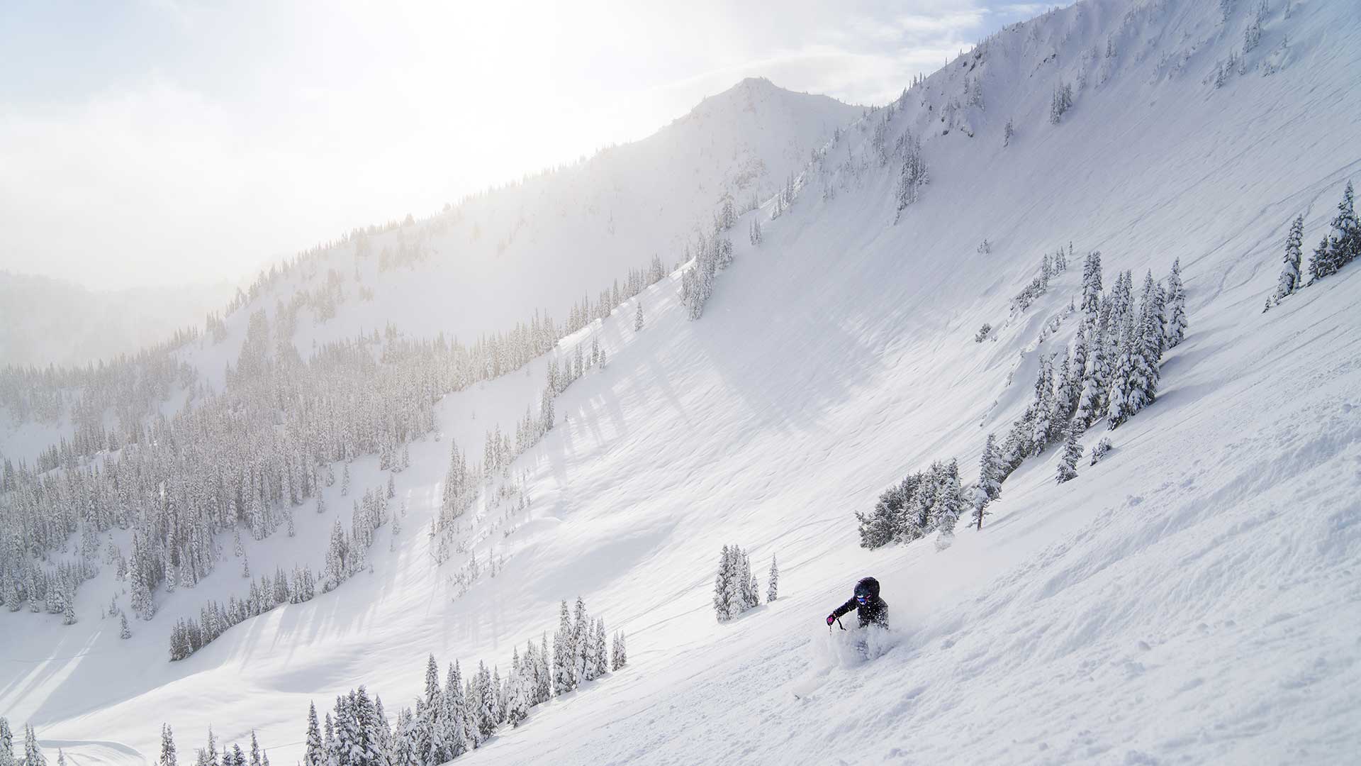 Ikon Friends and Family | Crystal Mountain