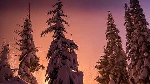 Night Skiing at Crystal