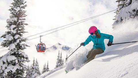 Skier in Powder with Gondola