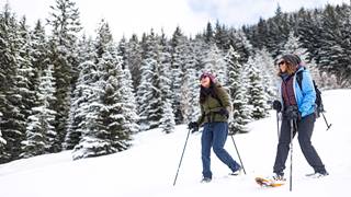 Snowshoeing at Crystal