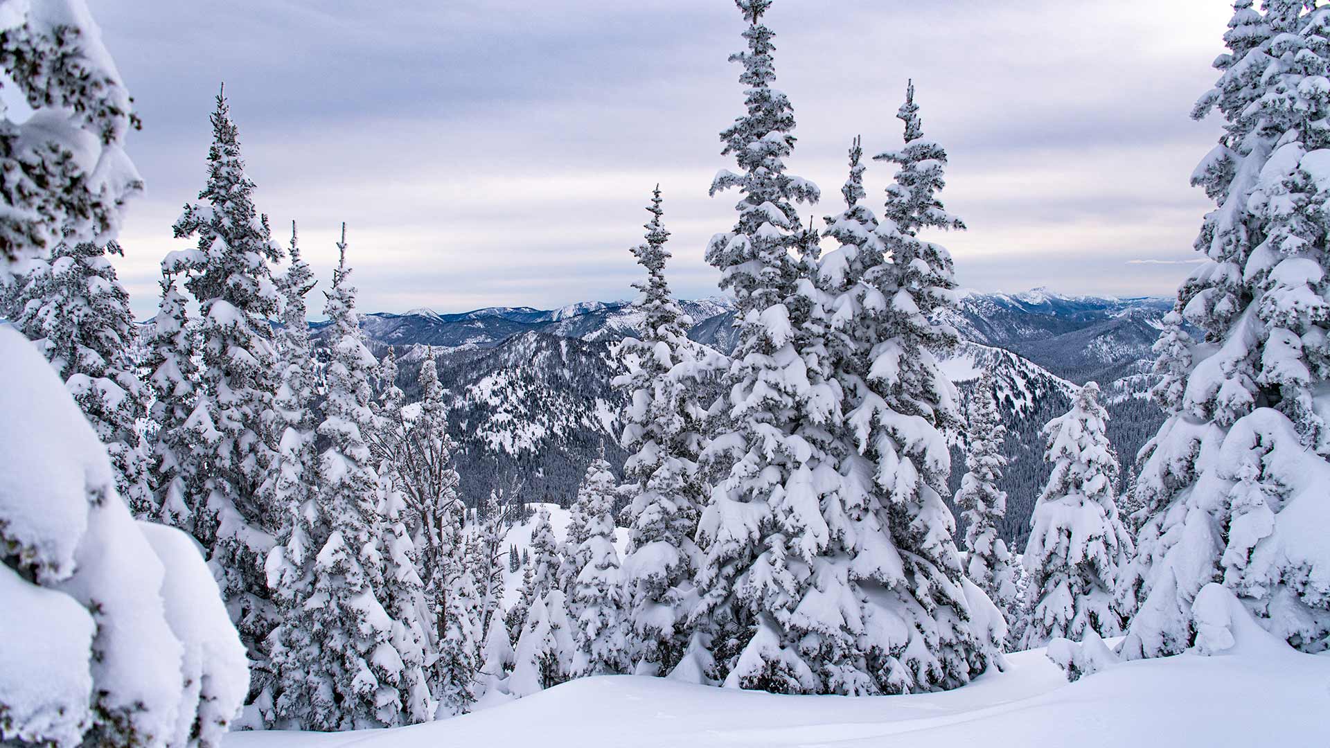 Washington State Ski And Snowboard Deals Crystal Mountain