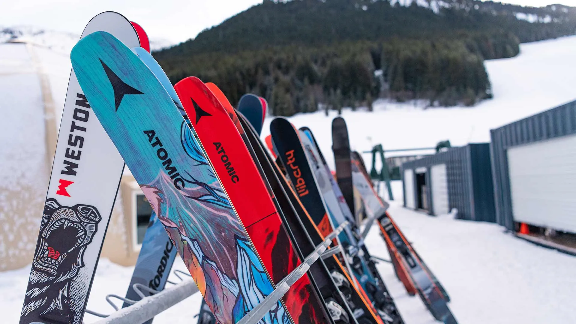 Adult Demo Skis Crystal Mountain Resort - Main Image