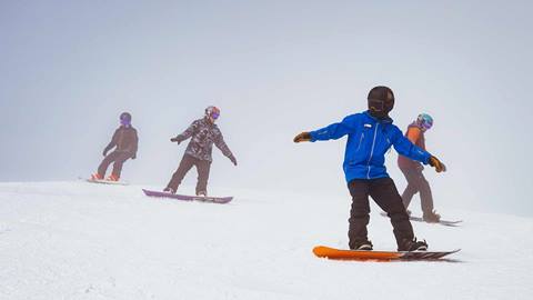 Adult Standard Snowboard