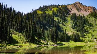 Alpine Lake at Crystal