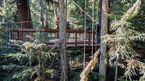 elevated forest platform along the flying raven ropes course with participants preparing for their next obstacle