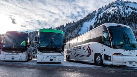 Busses at Crystal