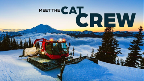 Meet the Cat Event image