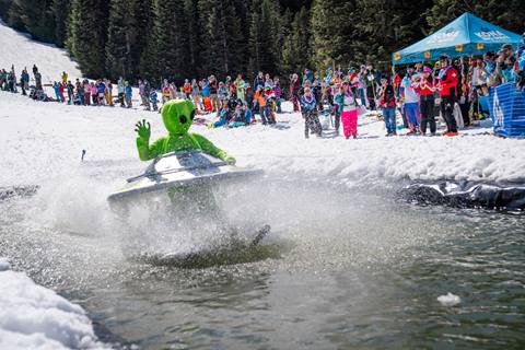 Pond Skim