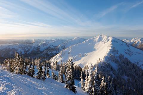 Crystal open wide image with tile description