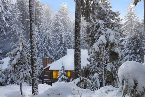 Mountain lodge nestled in a snow-covered forest.