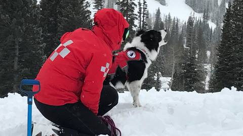 2017-01-09_CM_IMG_3633_Web-Assets.jpg